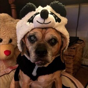 Meet your Posher, Morgan